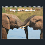 Elephant 2026  calendar<br><div class="desc">This 2026 wall calendar feature is Elephant animal photography. This 12 month calendar has fun and interesting facts about elephants. It Make's a wonderful gift for elephant lovers.</div>