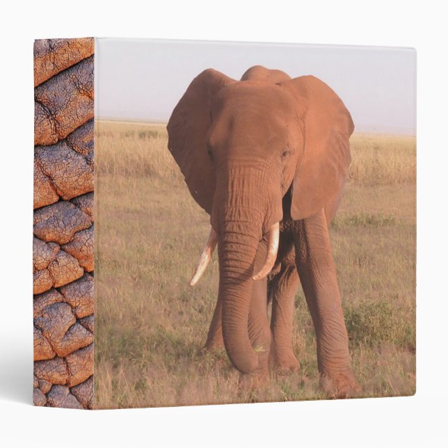 Elephant 3 Ring Binder (Front/Spine)
