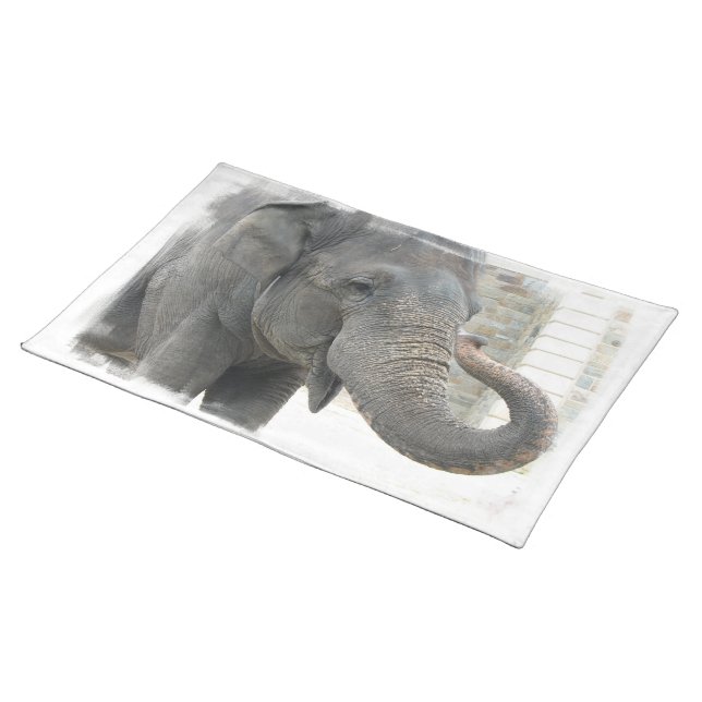elephant-6 placemat (On Table)