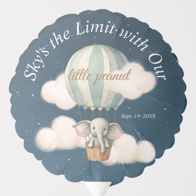 Elephant Air Balloon Baby Shower Night (Front)