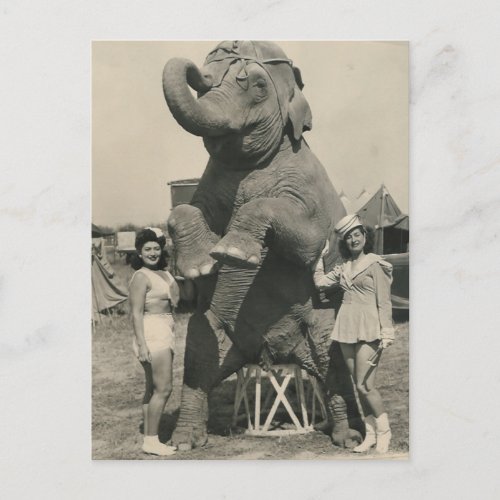 elephant and 2 girls circus postcard