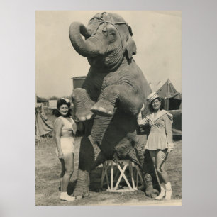 elephant and 2 girls circus poster