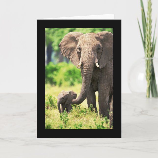 Elephant and Baby Card (Front)