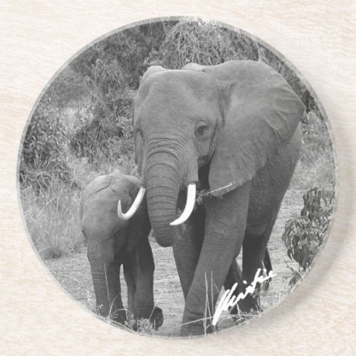 Elephant and Calf Coaster