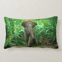 Elephant and Grass