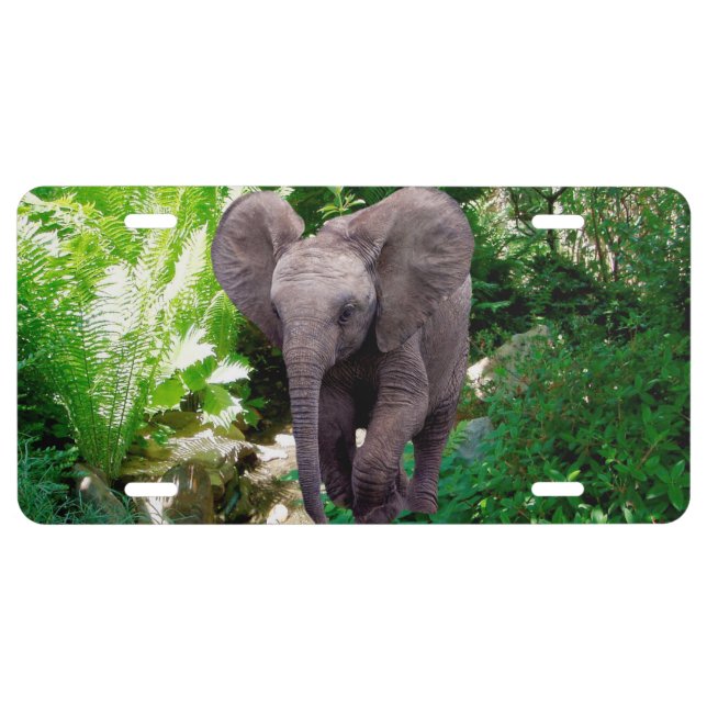 Elephant and Jungle License Plate (Front)