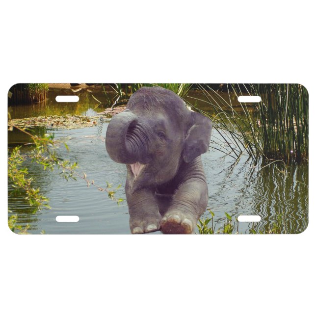 Elephant and Water License Plate (Front)