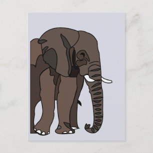 Elephant Animal Elephant Postcard