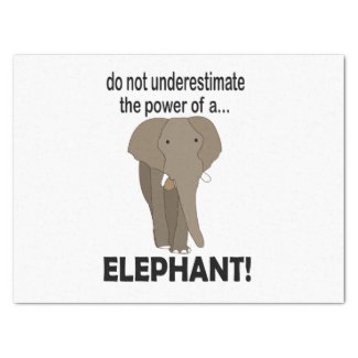 Elephant Animal Safari Funny Elephant