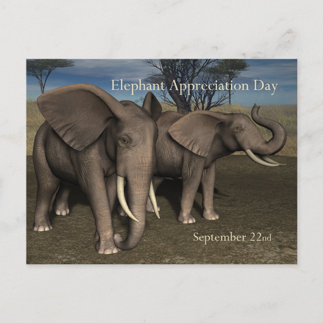 Elephant Appreciation Day PostCard September 22 | Zazzle