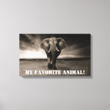 Elephant as My Favorite Animal!