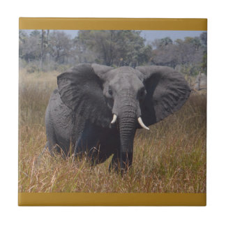 Elephant Aware, Kenya. Ceramic Tile