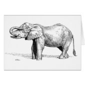 Elephant Baby (Front Horizontal)