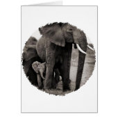 Elephant & Baby Elephant (Front)