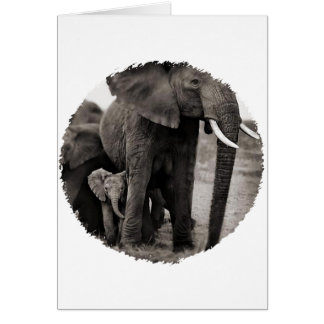 Elephant & Baby Elephant Cards
