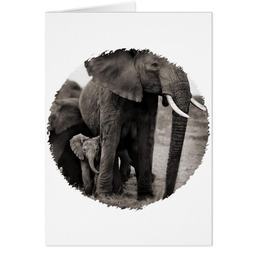 Elephant & Baby Elephant Cards (Front)