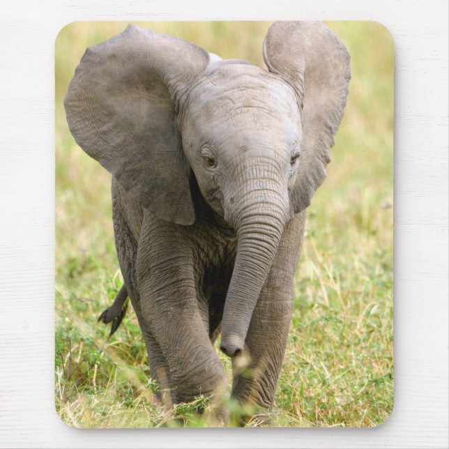 Elephant Baby Mouse Pad (Front)