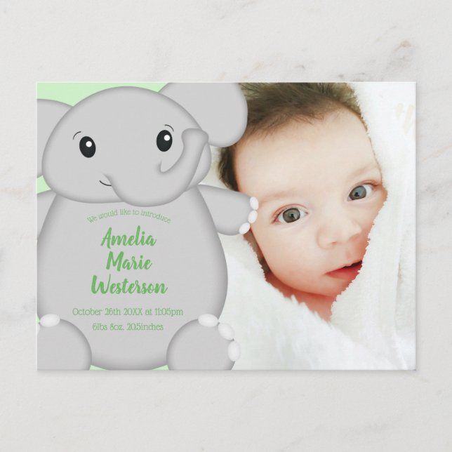 Elephant Baby Shower Safari Postcard (Front)