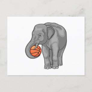 Elephant Basketball player Basketball Postcard