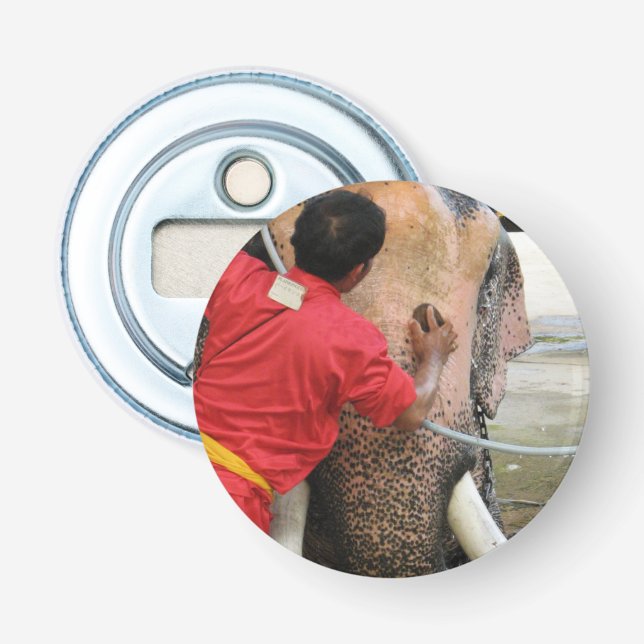 Elephant Bathtime ... Ayutthaya, Thailand Bottle Opener