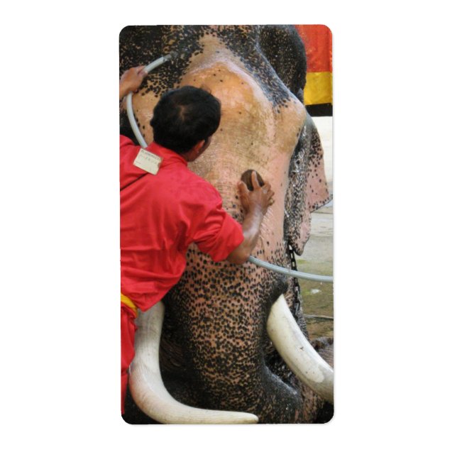 Elephant Bathtime ... Ayutthaya, Thailand Label (Front)