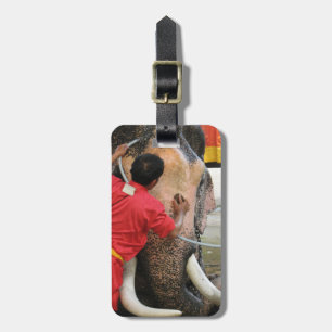 Elephant Bathtime ... Ayutthaya, Thailand Luggage Tag