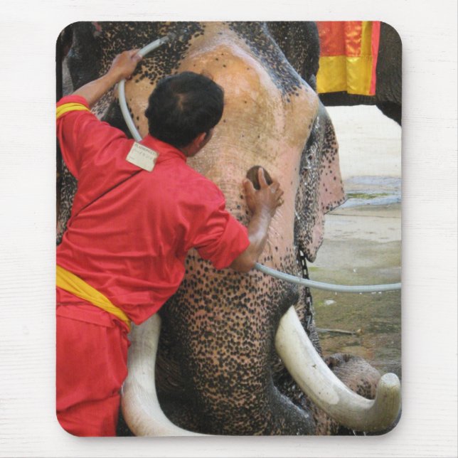 Elephant Bathtime ... Ayutthaya, Thailand Mouse Pad (Front)