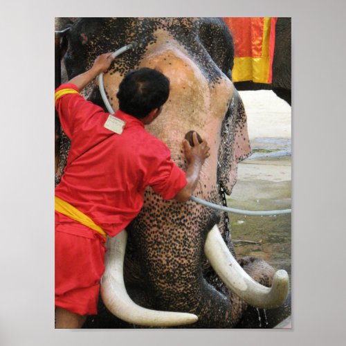 Elephant Bathtime  Ayutthaya Thailand Poster