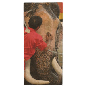 Elephant Bathtime ... Ayutthaya, Thailand Wood Flash Drive