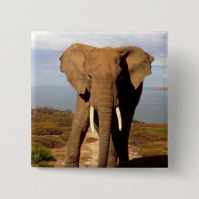 Elephant Beach Day Outing, Button (Front)
