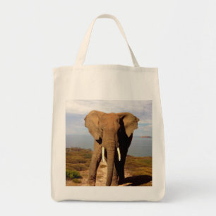 Elephant Beach Day Outing, Tote Bag