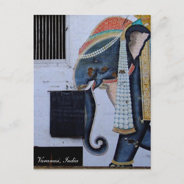 Elephant, beautiful Varanasi, holiday India Postcard (Front)