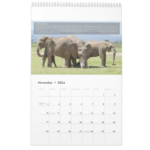 Elephant Behavior Calendar