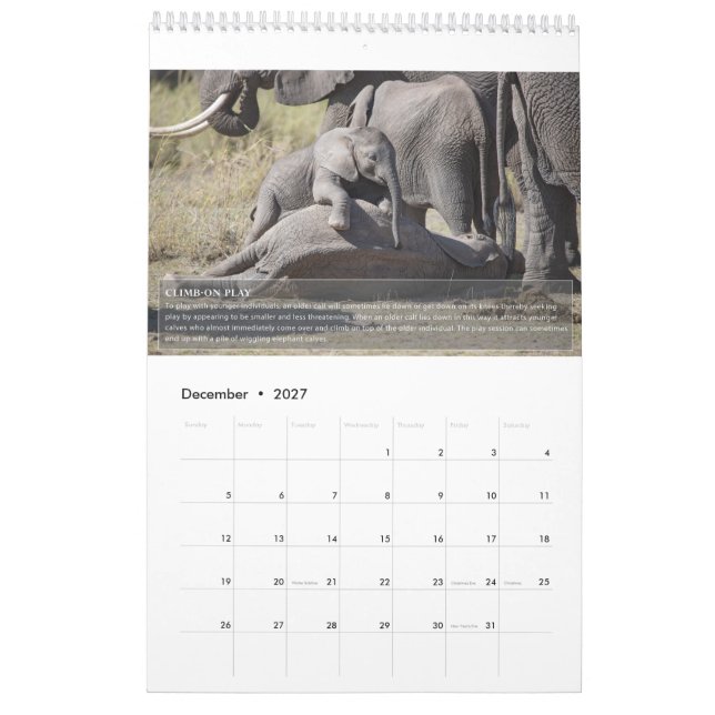 Elephant Behavior Calendar (Dec 2027)