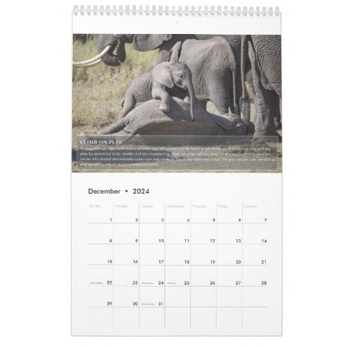 Elephant Behavior Calendar