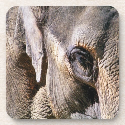 ELEPHANT BEVERAGE COASTER