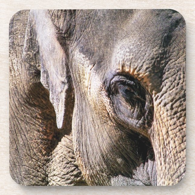ELEPHANT BEVERAGE COASTER (Front)