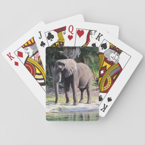 Elephant _ Bicycle Playing Cards