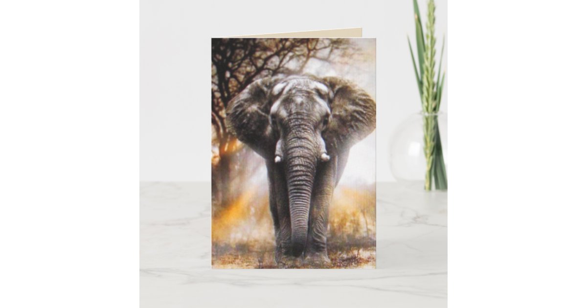 Elephant Birthday Card | Zazzle.com