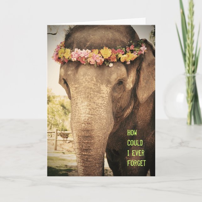 Elephant Birthday Card (Front)