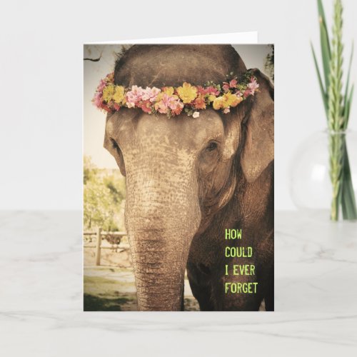 Elephant Birthday Card