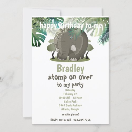 Elephant Birthday Party Invitation