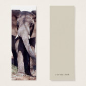 Elephant Bookmark (Front & Back)
