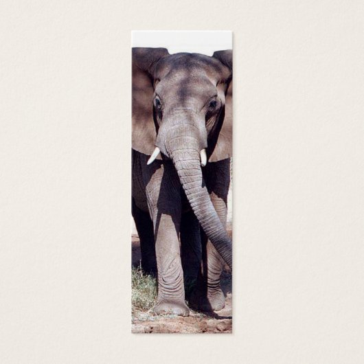 Elephant Bookmark (Front)