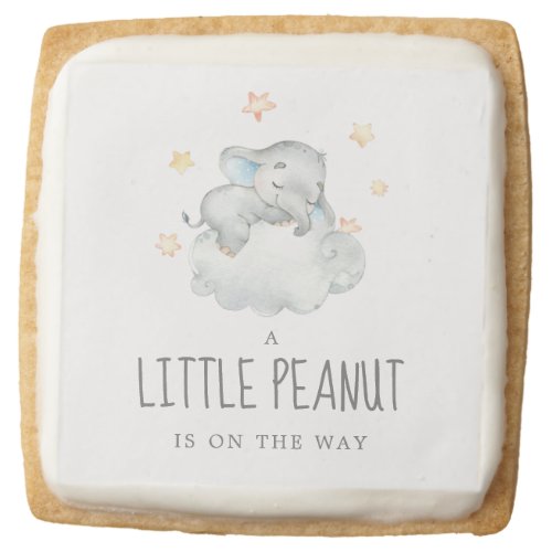 Elephant Boy Little Peanut Baby Shower Favor Square Shortbread Cookie