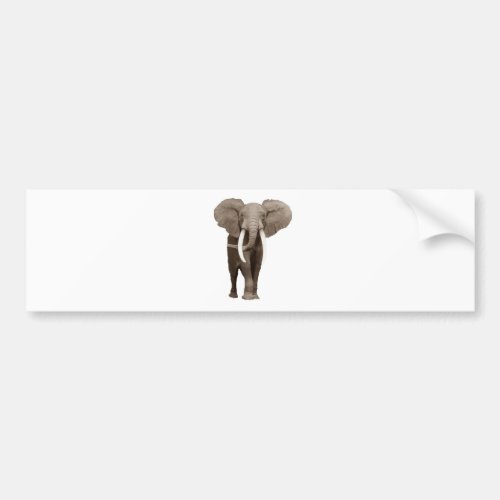 Elephant Bumper Sticker