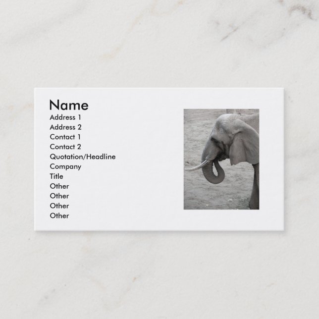 Elephant Business Card (Front)