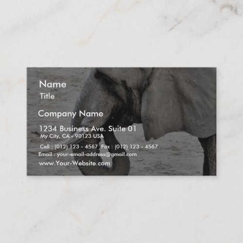 Elephant Business Card Templates