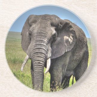 Elephant by Barb Craven_HDR Print.jpg Drink Coaster