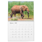 Elephant Calendar  (Feb 2025)